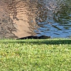 Meet your Posher, Clay